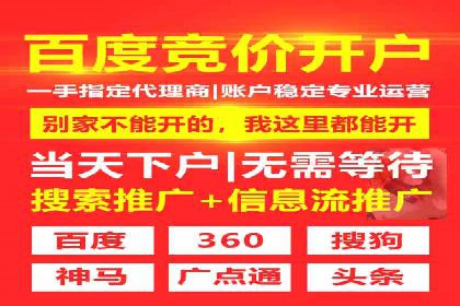案例分析：百度竞价托管助力行业龙头